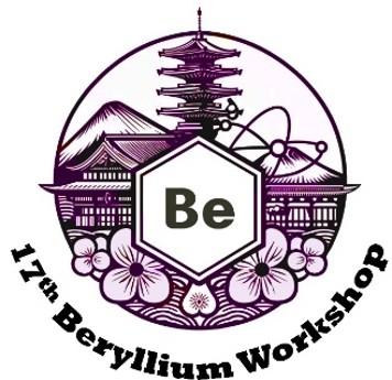 17th Berylliurn Workshop